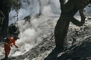 （圖）消防員正在加州奮力撲滅山火