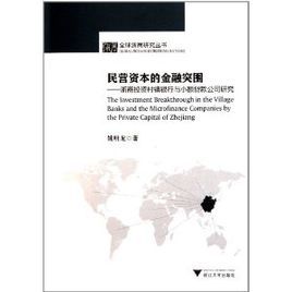 民營資本的金融突圍：浙商投資村鎮銀行與小額貸款公司研究