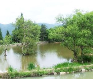 草魚塘省級森林公園