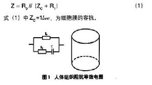 生物電阻抗測量