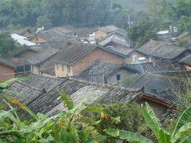 民樂村[雲南景谷縣民樂鎮下轄村]