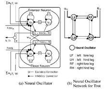 Central Pattern Generator