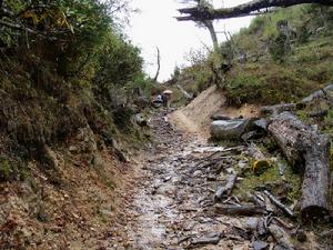 車米自然村發展重點-改善道路