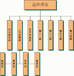 曾炳權任職