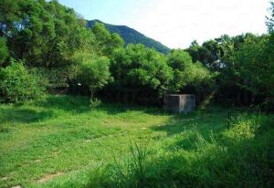 龍虎山郊野公園