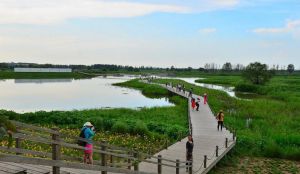 遼河七星濕地公園