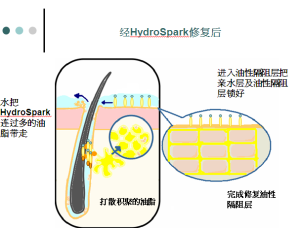 HA修復後效果