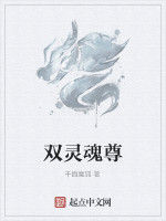 雙靈魂尊