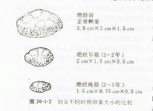 （圖）比較