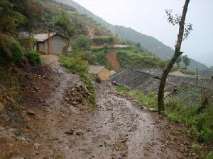 火麻廠村-進村道路