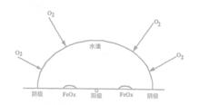 腐蝕[詞語概念]