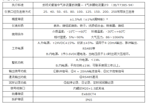 氣體腰輪（羅茨）流量計