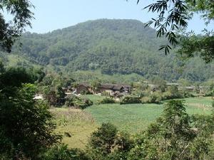 登雲村[雲南墨江縣團田鄉下轄村]