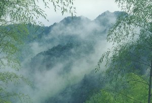 浙江烏岩嶺國家級自然保護區