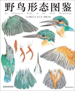 野鳥形態圖鑑