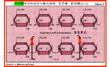 地殼外循環