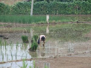 （圖）賀街鎮