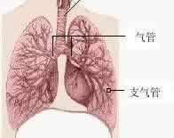 小兒呼吸道合胞病毒肺炎