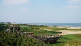 河北海濱國家森林公園