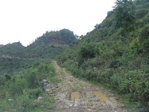 大凹子自然村[雲南曲靖羅平縣羅雄鎮阿溝河村大凹子自然村]