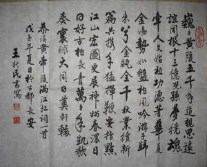 王新民書法作品