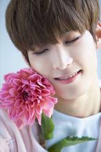 WonWoo 全圓佑