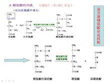 精氨酸轉化機制