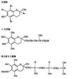 生育酚乙酸酯