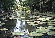 龐普勒穆斯植物園