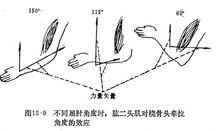 力量素質訓練