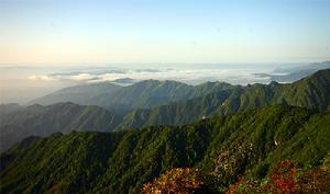 東安舜皇山國家級自然保護區