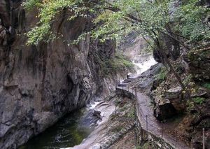 樓觀台森林公園