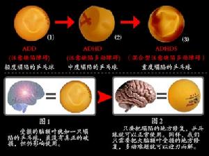 ETS生物調控術