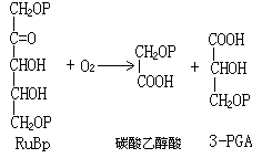 氯化冶金