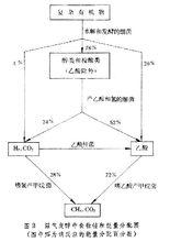 沼氣發酵微生物