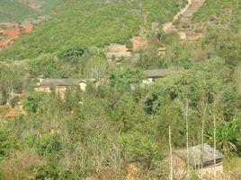 青崗坪村[雲南廣南縣蓮城鎮下轄村]