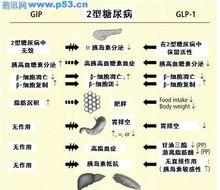 西他列汀