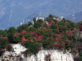 三峰山[邢台市臨城縣西部三峰山]