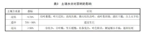 土壤水分對茶樹的影響