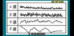 人體的四種腦波