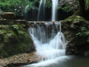 大桂山國家森林公園