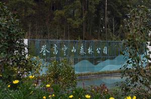 登高雲山森林公園