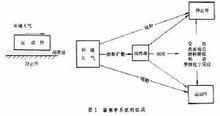 摩擦學系統過程