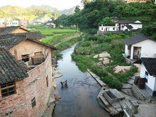 橋上看風景