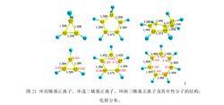 離子及其中性分子的結構、 電荷分布。