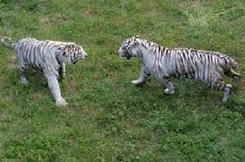 西霞口野生動物園