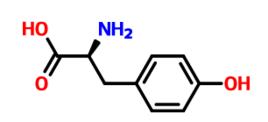 酪氨酸