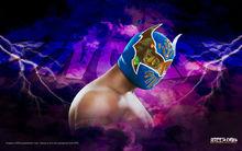 Sin Cara（僅供參考）