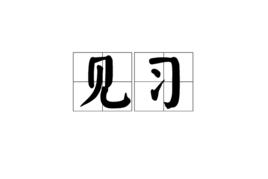 見習[詞語]