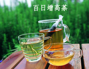 百日增高茶